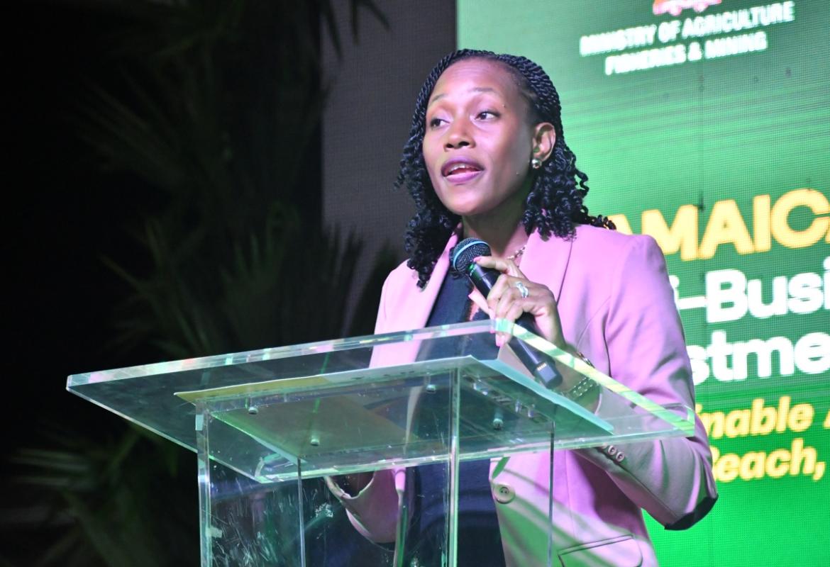 Home | Jamaica Social Investment Fund (JSIF)